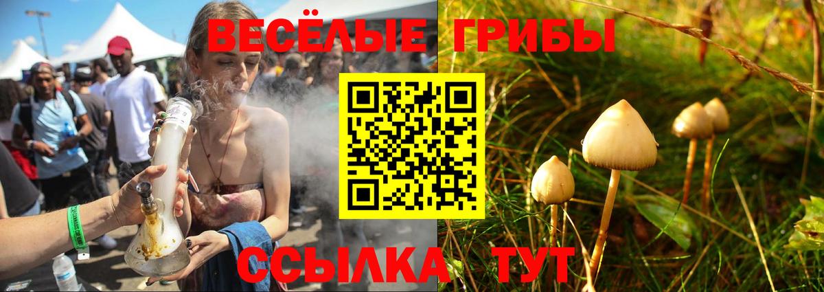 Кулебаки  Галлюциногенные грибы Psilocybe  Вход с VPN 